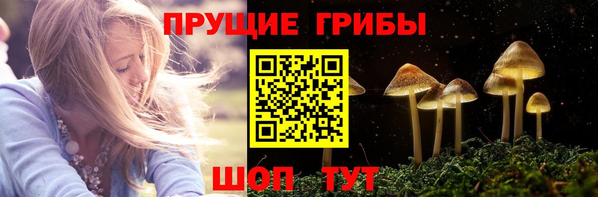 Галлюциногенные грибы Cubensis Чехов