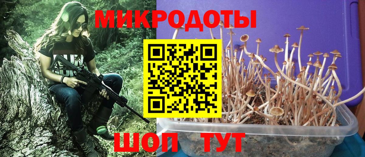 Галлюциногенные грибы Magic Shrooms  Вход с VPN  Чехов 